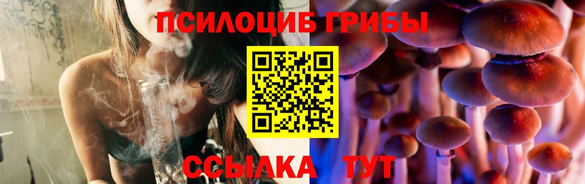 Берёзовский  Галлюциногенные грибы GOLDEN TEACHER  Галлюциногенные грибы MAGIC MUSHROOMS  Вход с VPN 